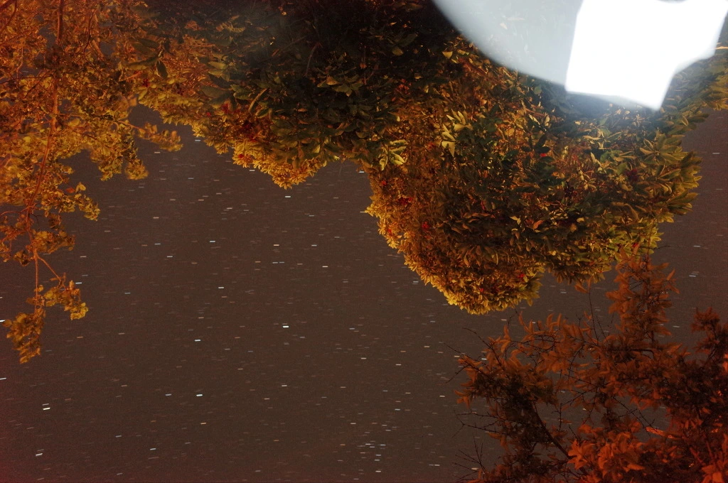 244B8D3A555DFDD105A1C1