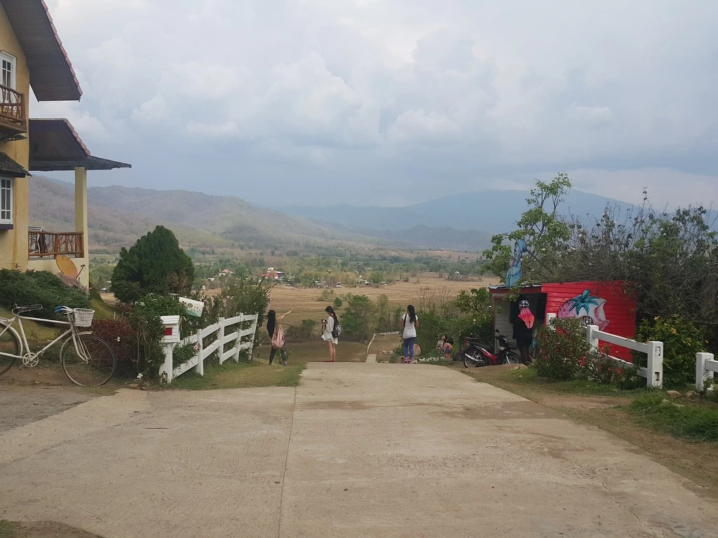 2733CE3E553A5A9E19CD7A