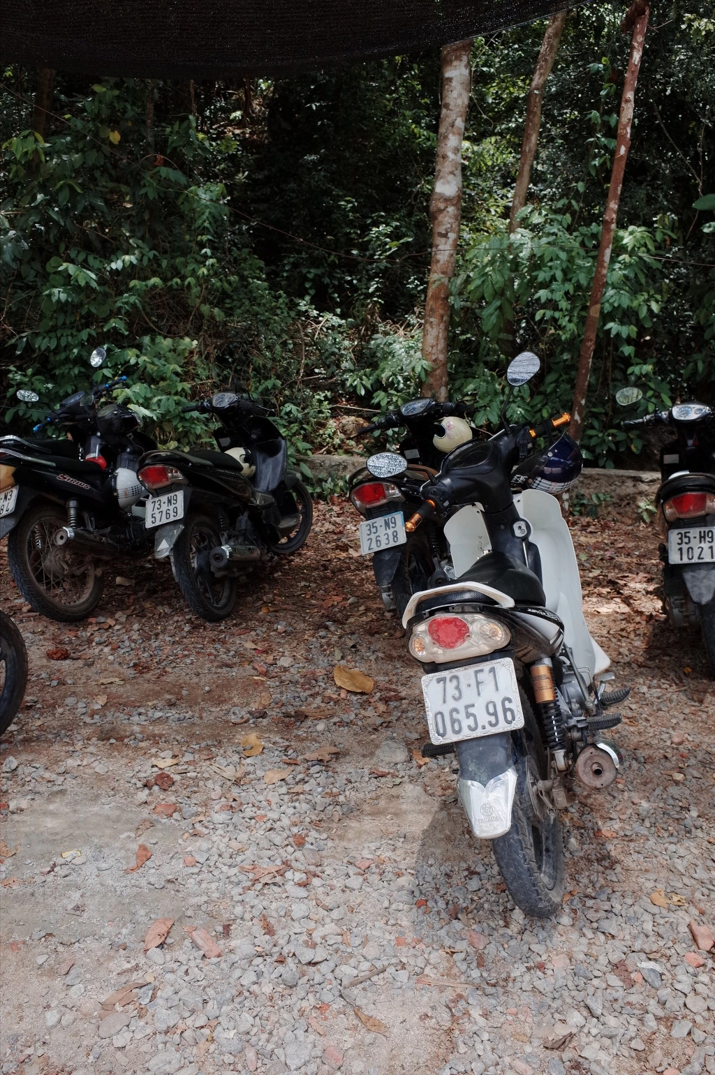 215C9445557EC79E1FE321