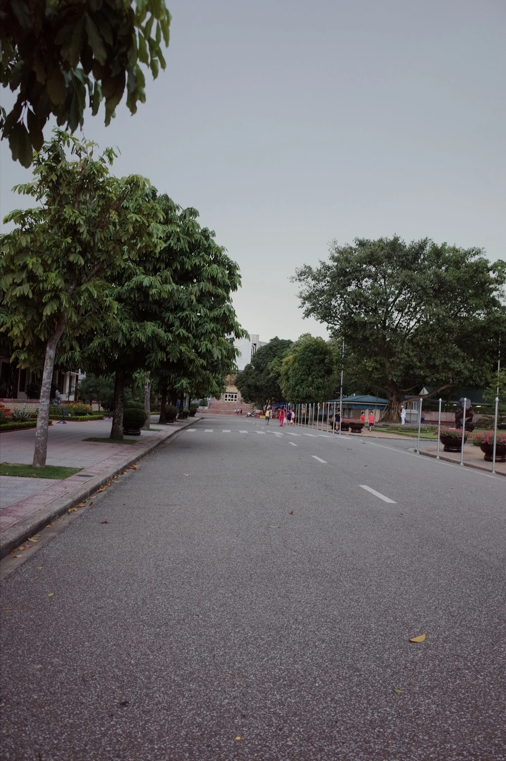 2666C33D55778BC016C5F5