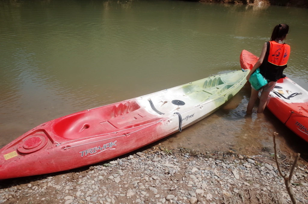 2415294155636A54113878