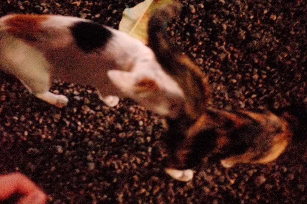 2160F63D553C61480D8A42