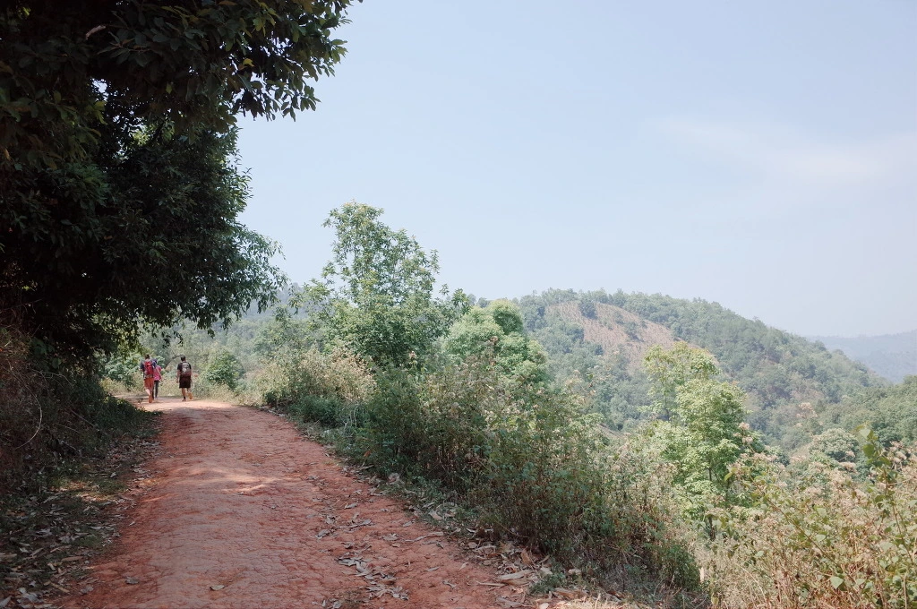 22230536556BC6591142D1