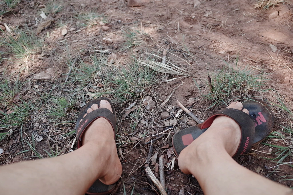 25096236556BD44E20D28C