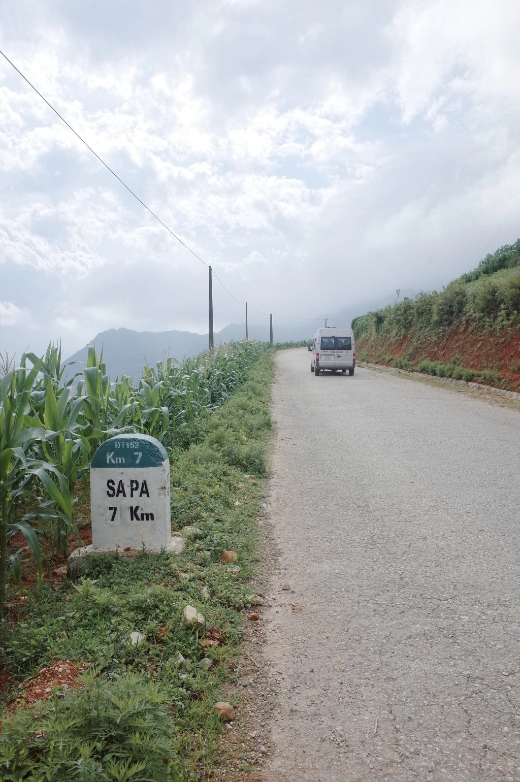 264996455574677411DD5D