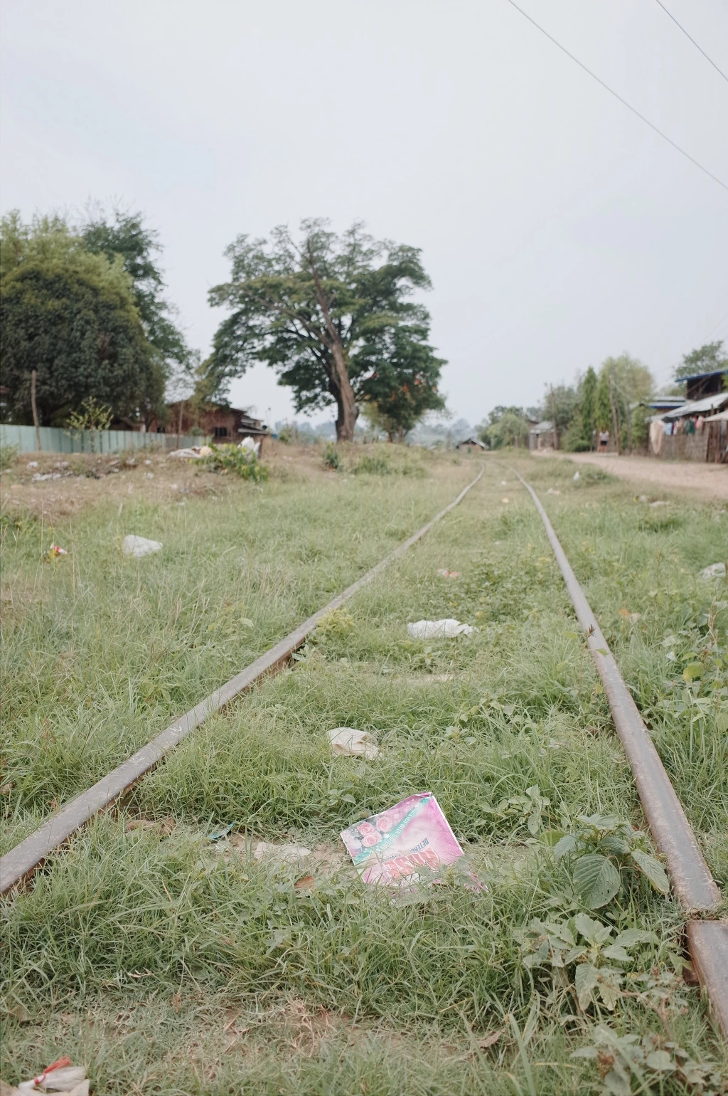 26593E44556CF77A1C2BD8