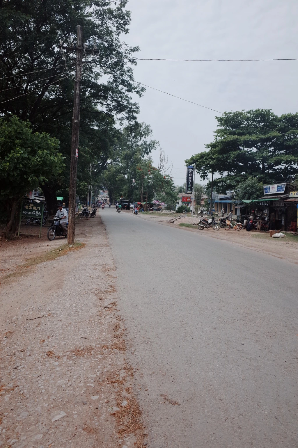 233FD33D556CF6472BEB55