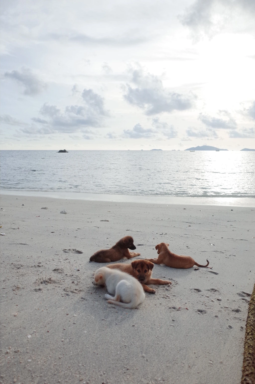 2768D53C555E15AB19ED74