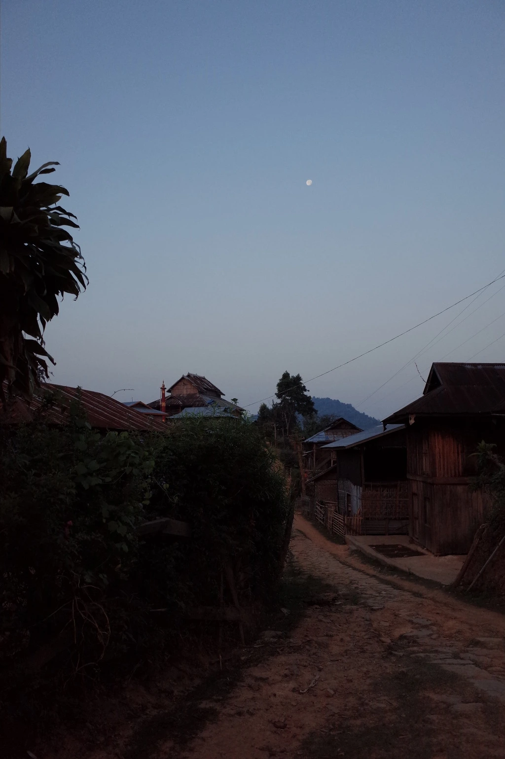 247E1133556BD26F0B5E9D