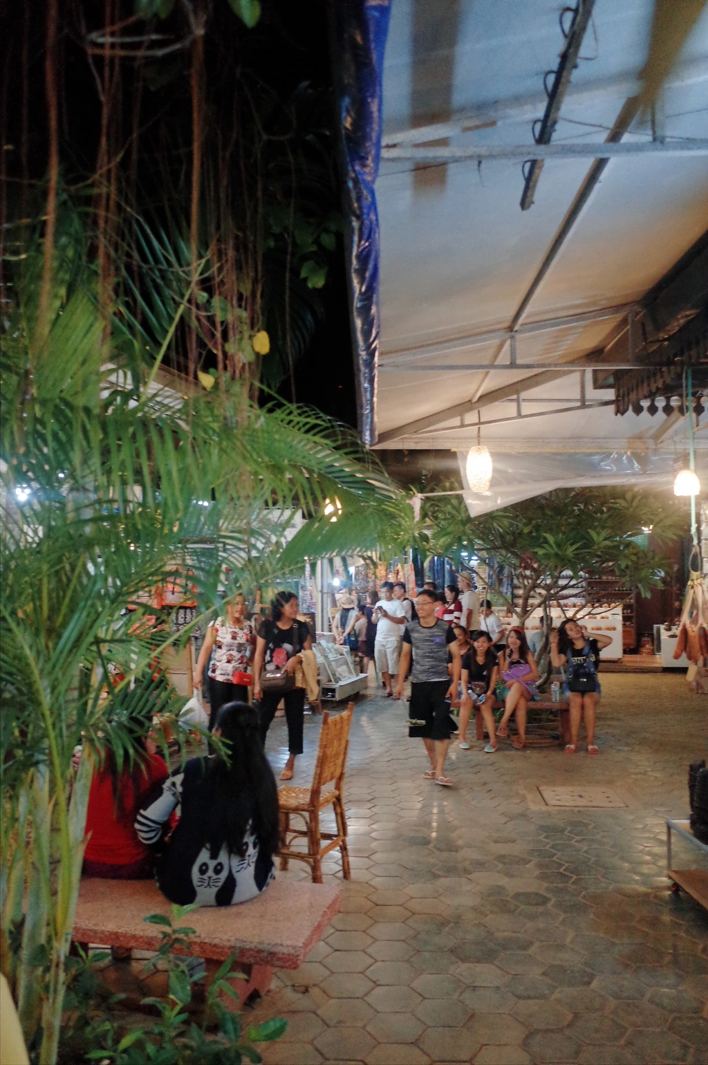 22568D4555536274026158