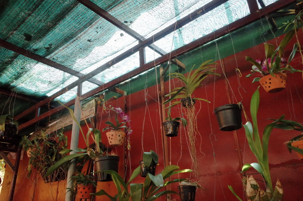 227BC3405580DBAD1CA4E1