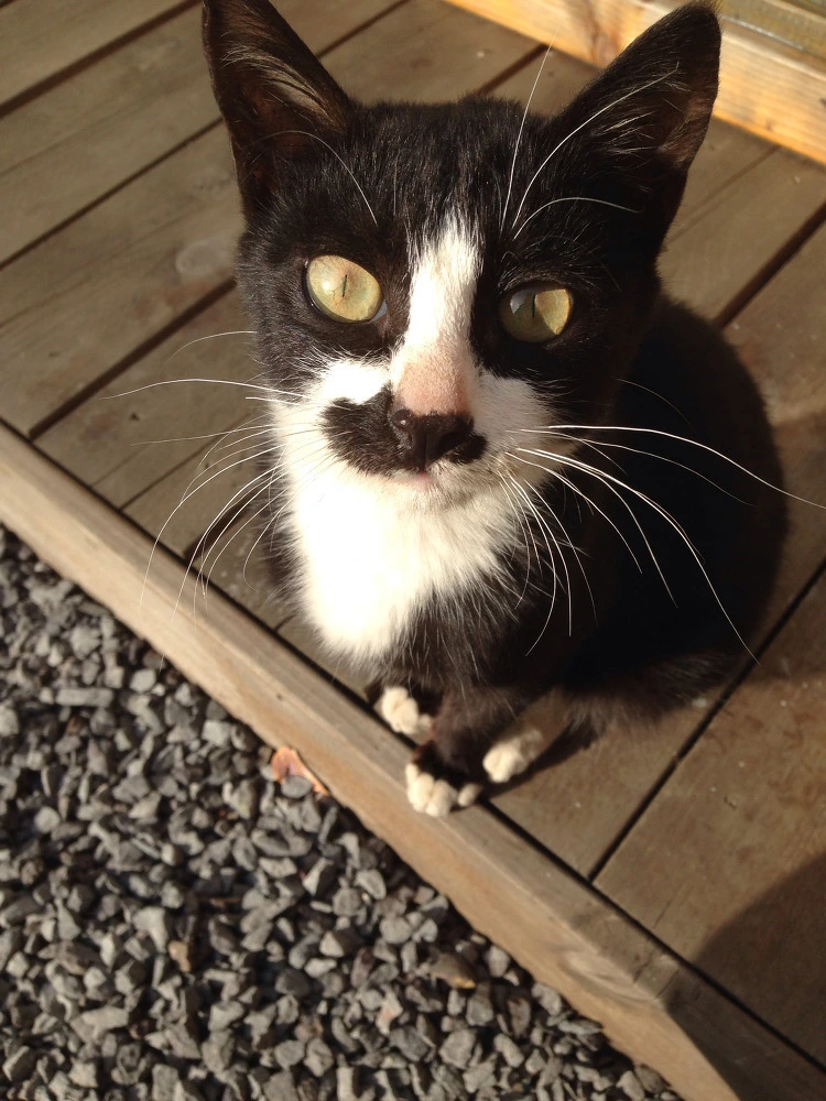 21647C3D5524F7D130BE33