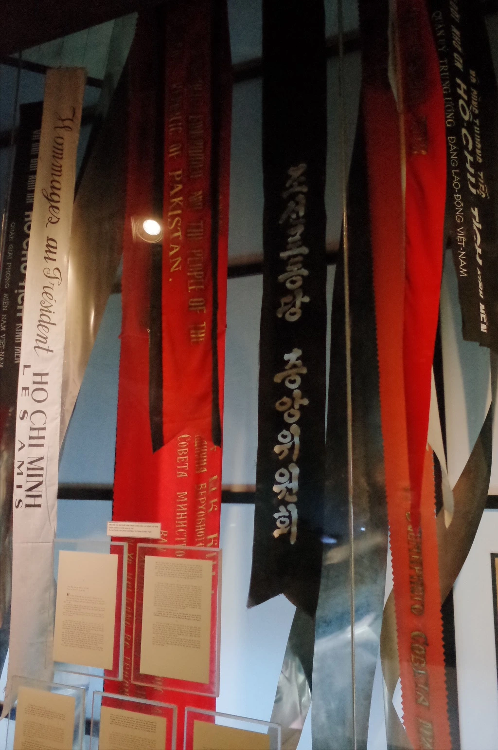 250F873955778B813E3FD8