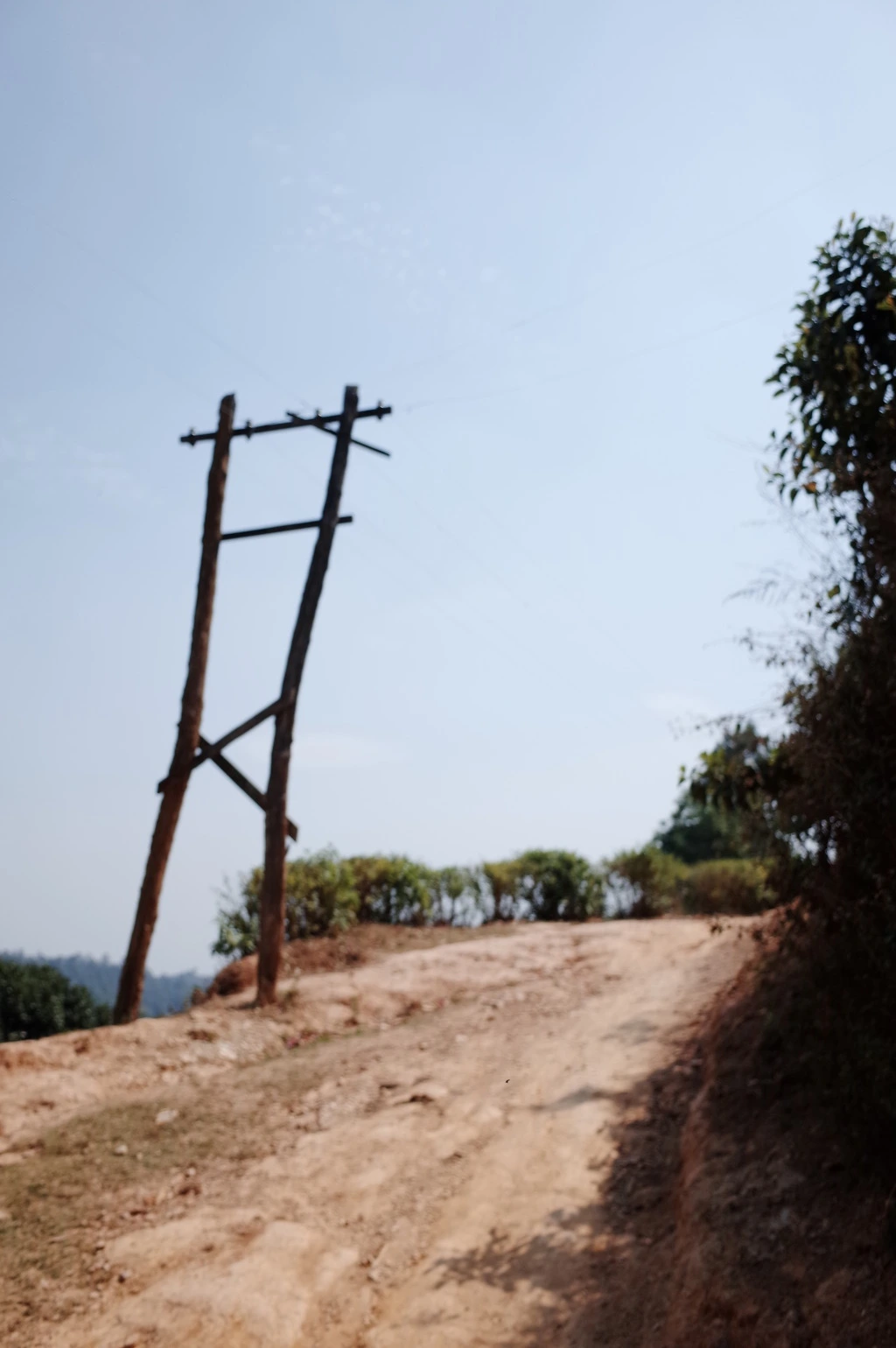 2243313A556BC6D9195470