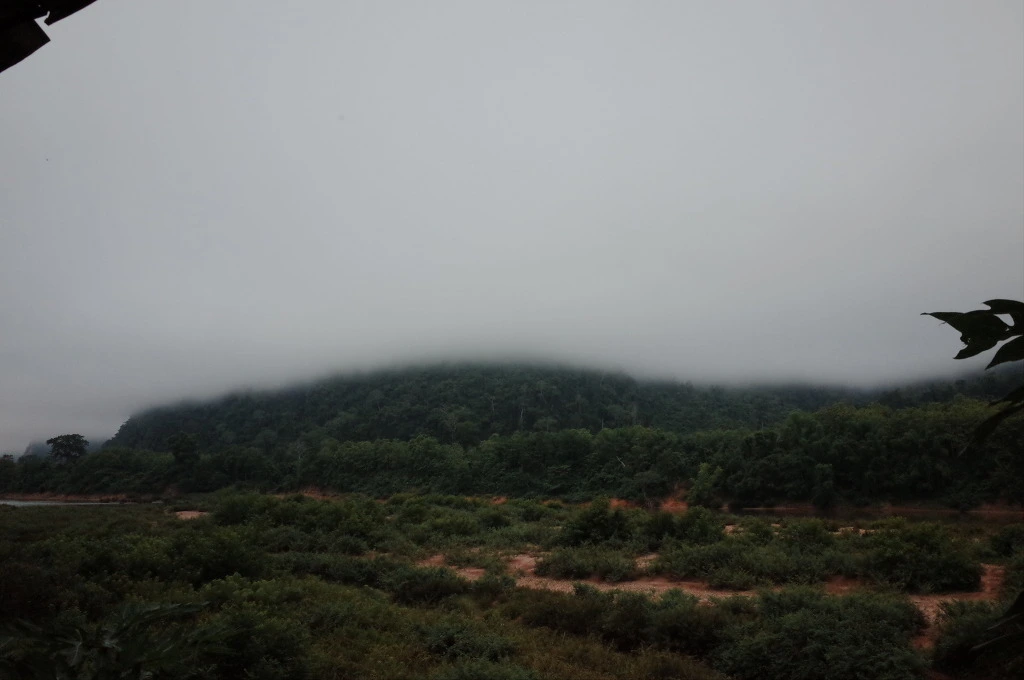 221F1044556C732D36E25C