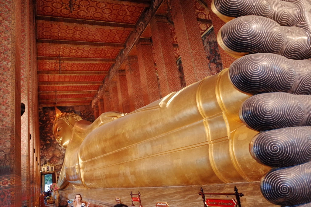 2118A334553E668433D258