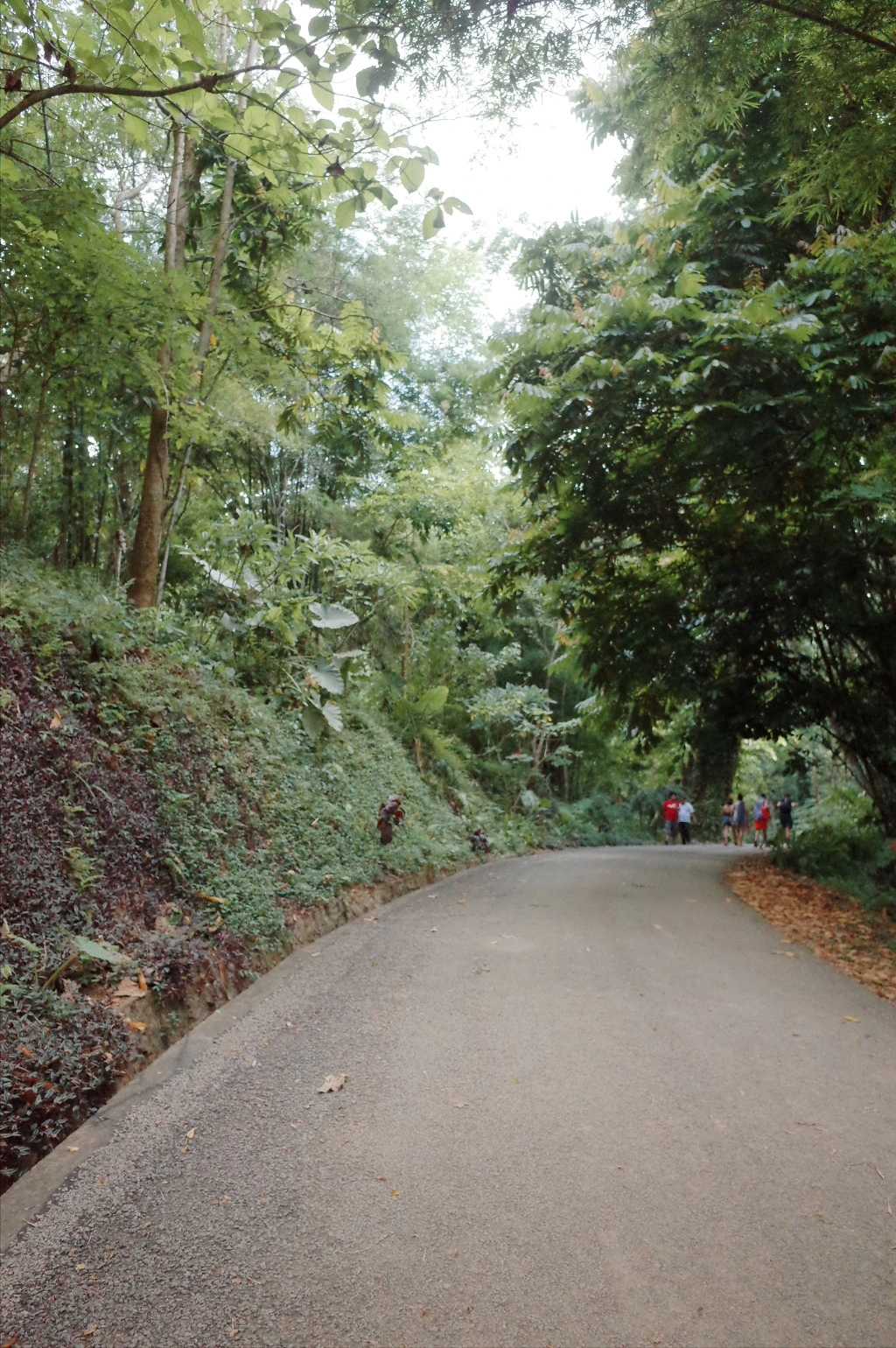 240D303D556A56510E61C5