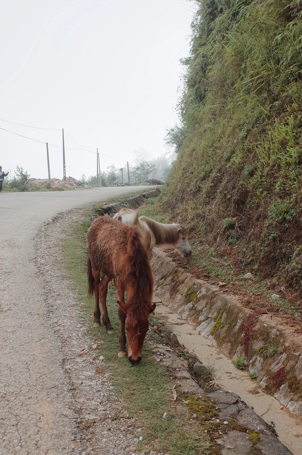 244C2536557467FD02B313