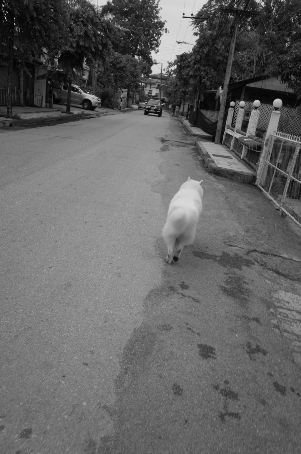 26347D38553A54F517265A