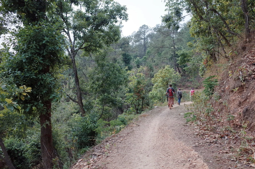 2769C13A556BC6AA0747A6