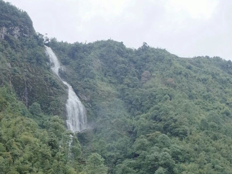 237286425571B18905C81E