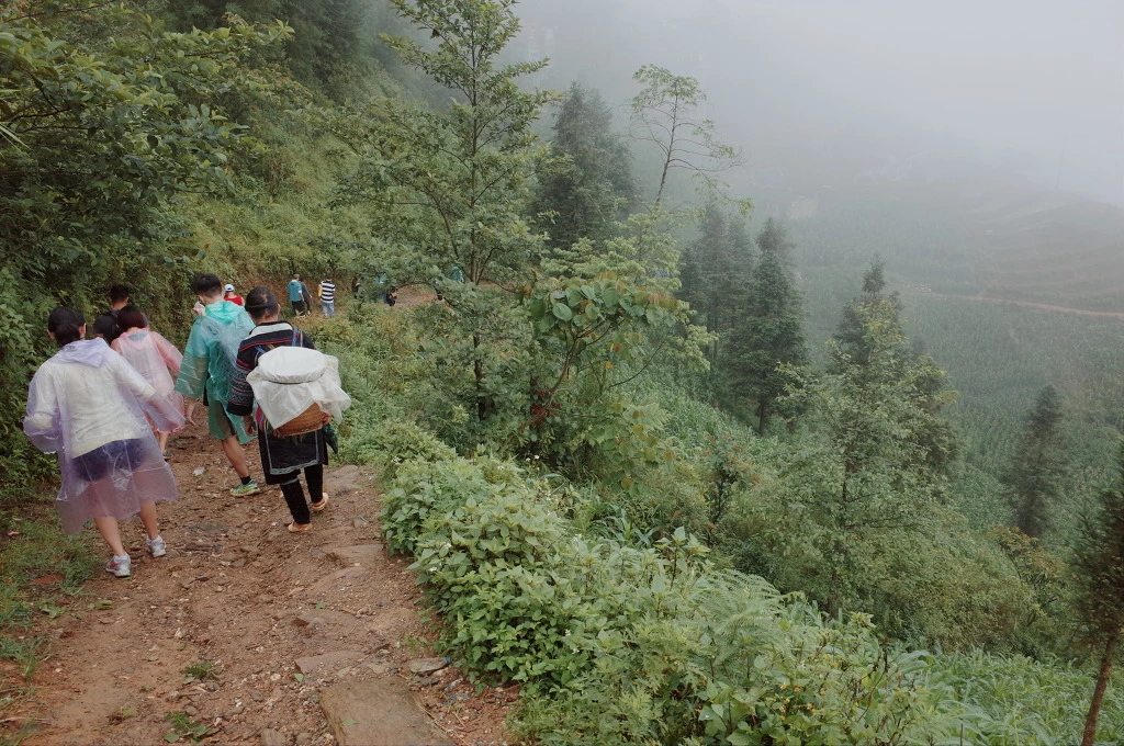 23292046557462DD2F540C