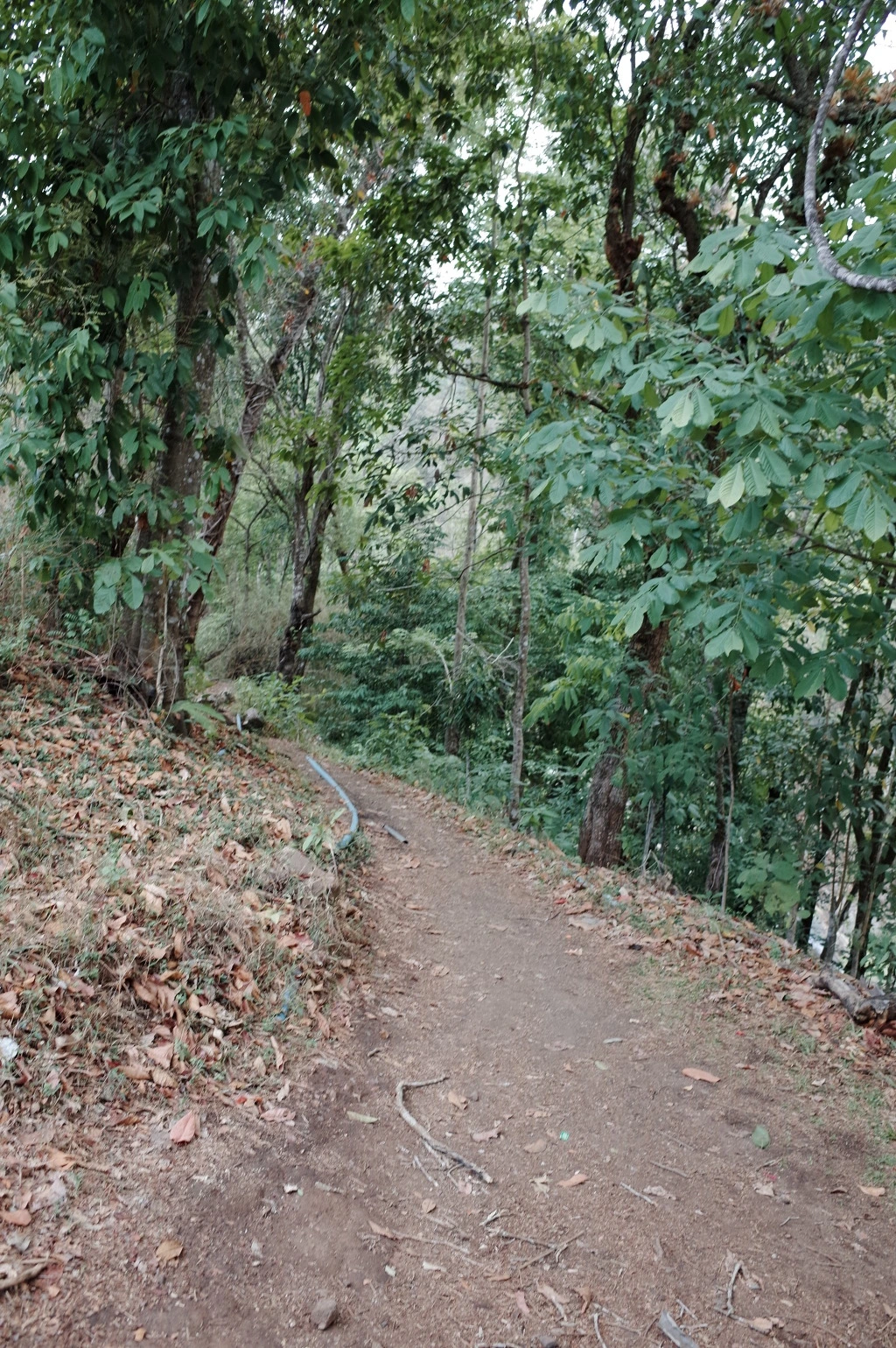 2578213F553C601F2C4A57