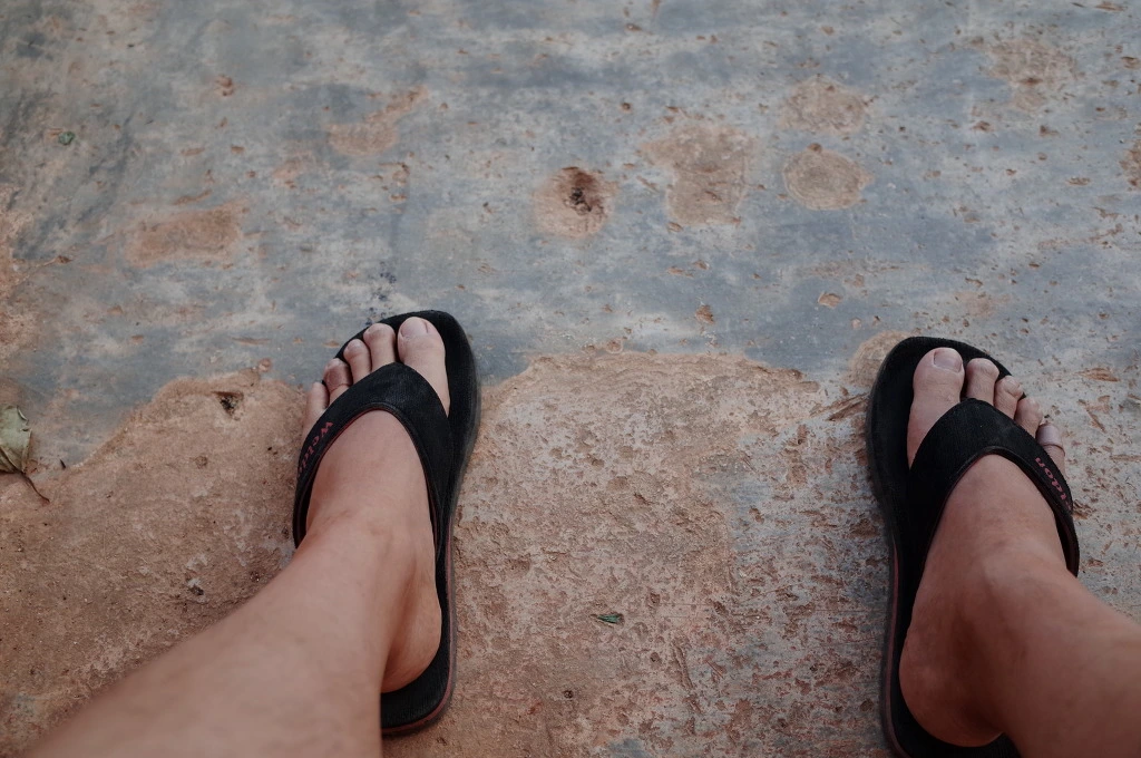 254B5842556BD2A41D25FF