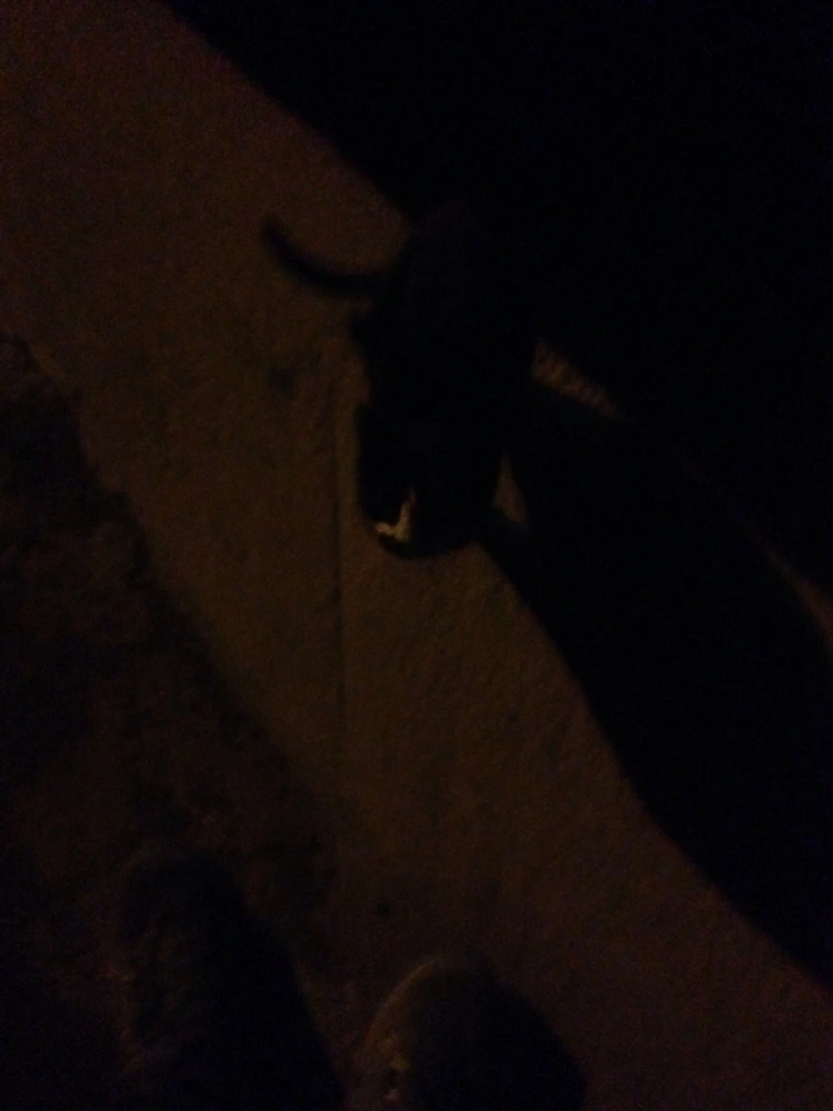 240B5E50530C366212E405