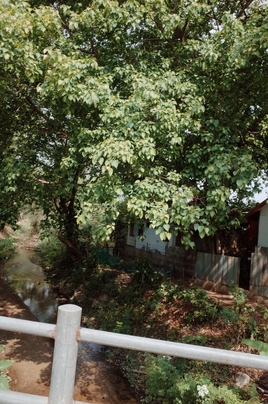 2551353D553CEA9529AB9B