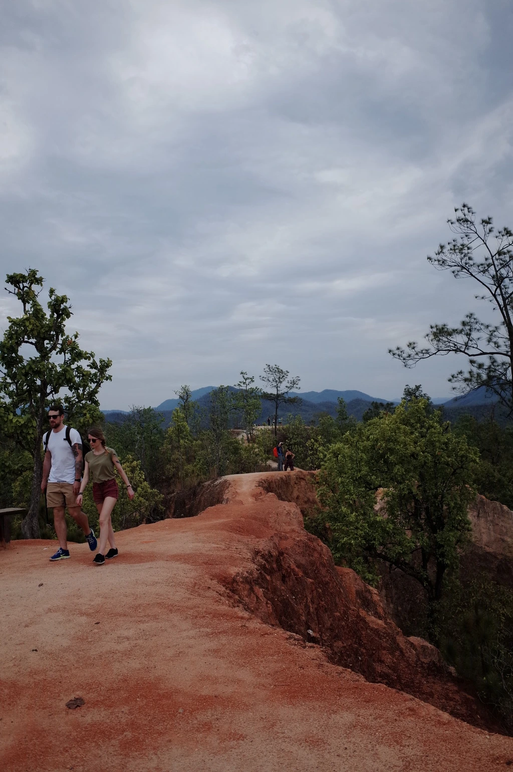 247DC33A553A5F8A018485