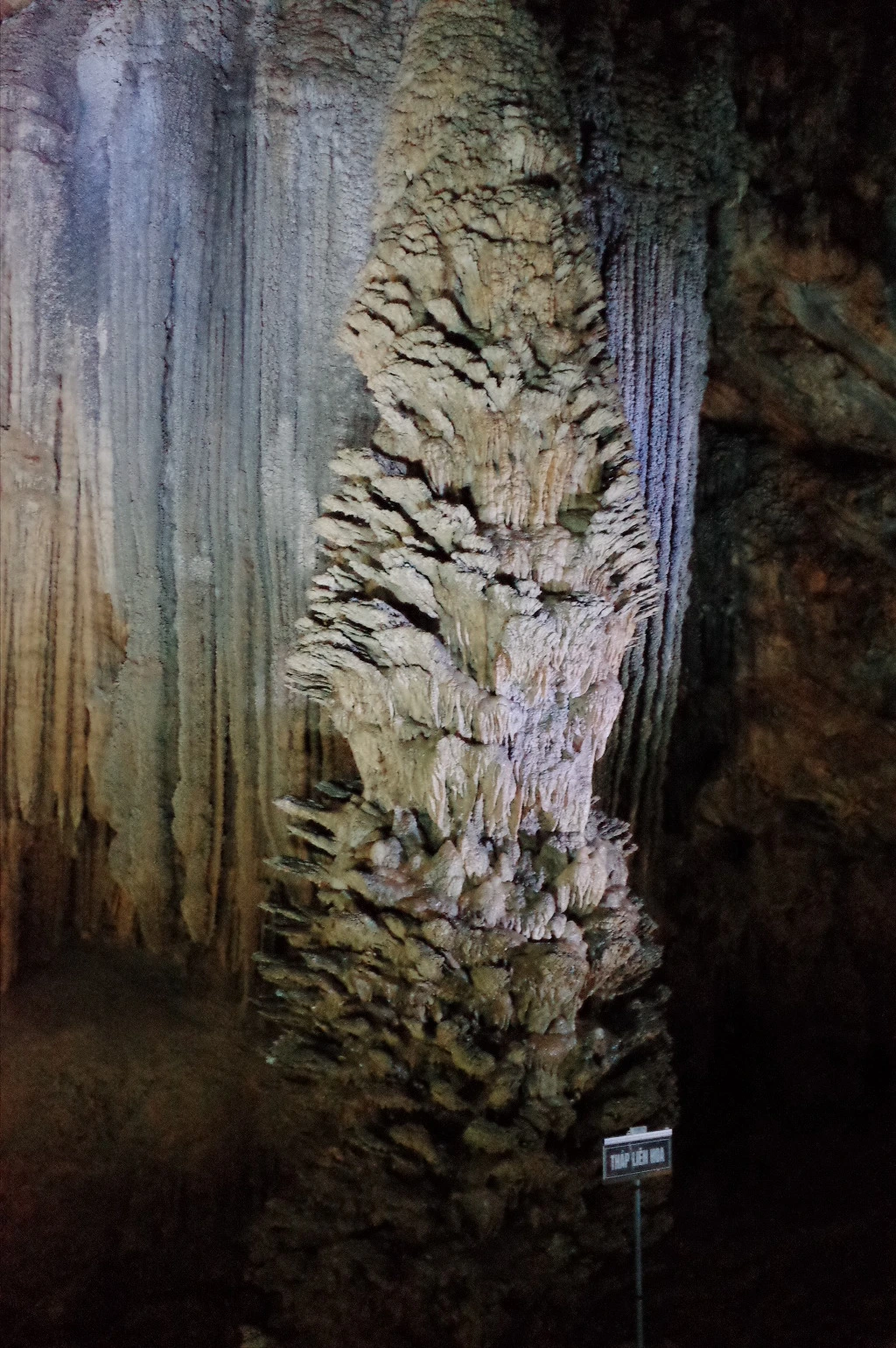 250DC242557ECBA9147081