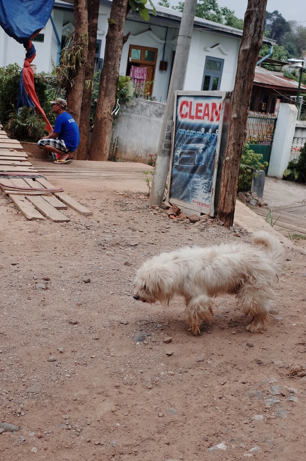 277FC446556CF6CB0E0D98