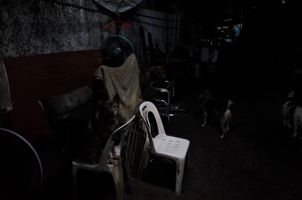 23030F425537BBFC204B8D