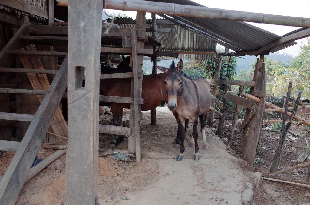 26730634556BD2D72BA5F7