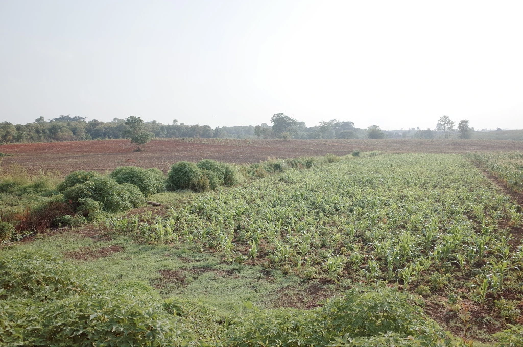 2528F744556D8056362365