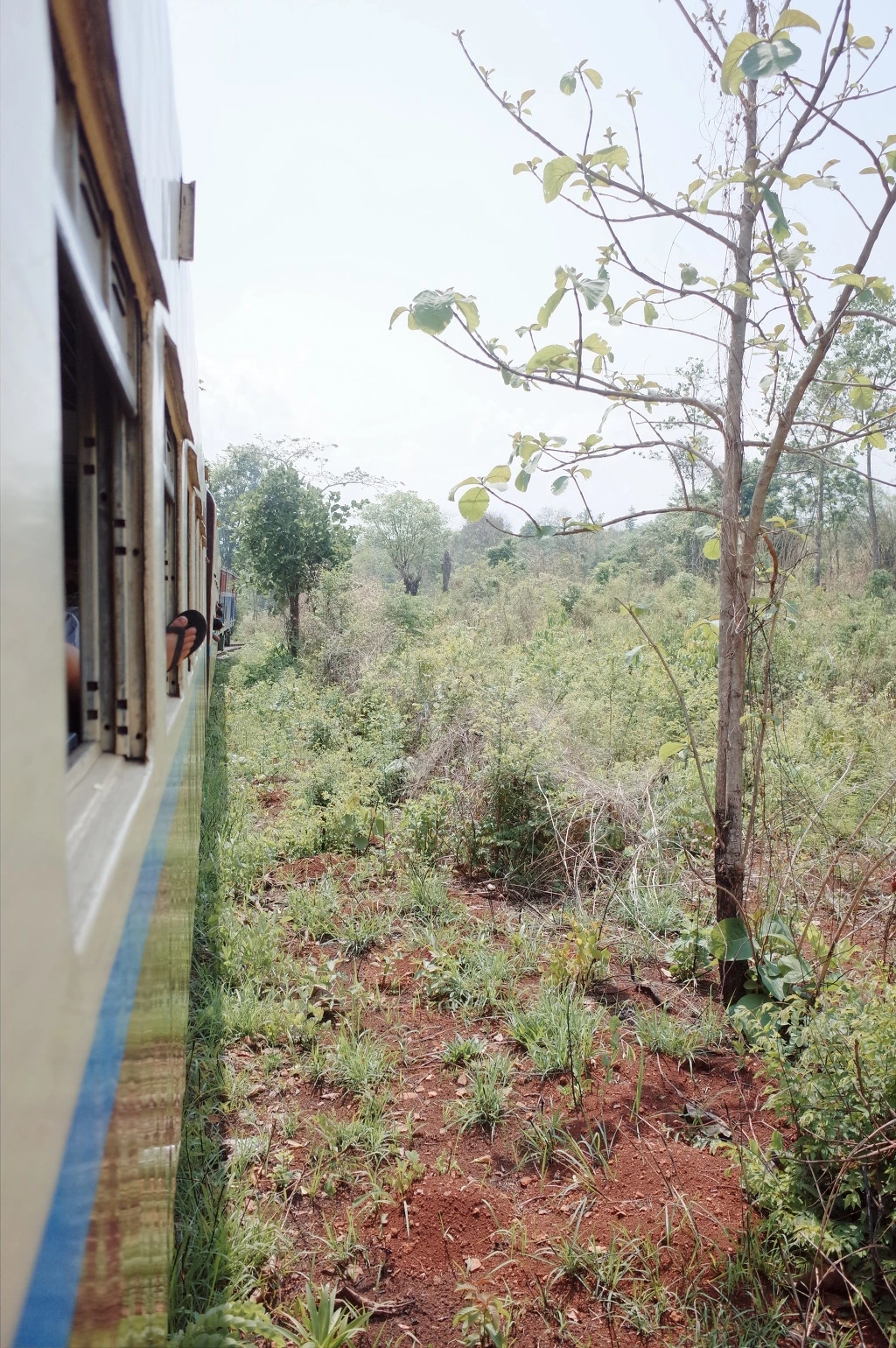 2410CE33556D7F67330E58