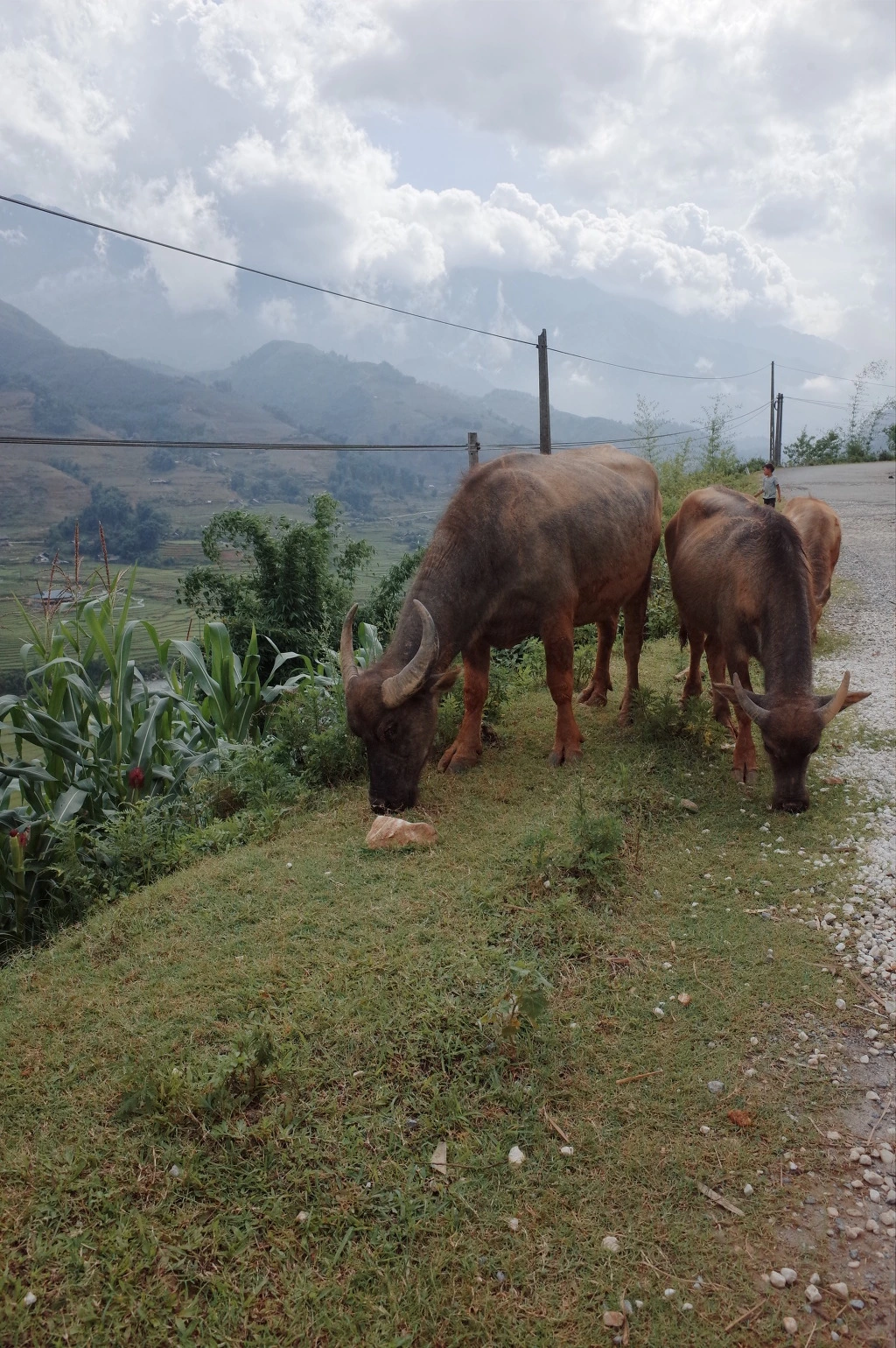 233CB7465574673E358ABC