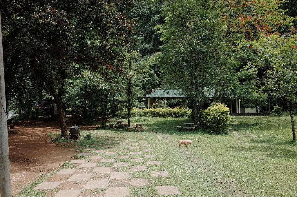 277C55455565D4C434BE37