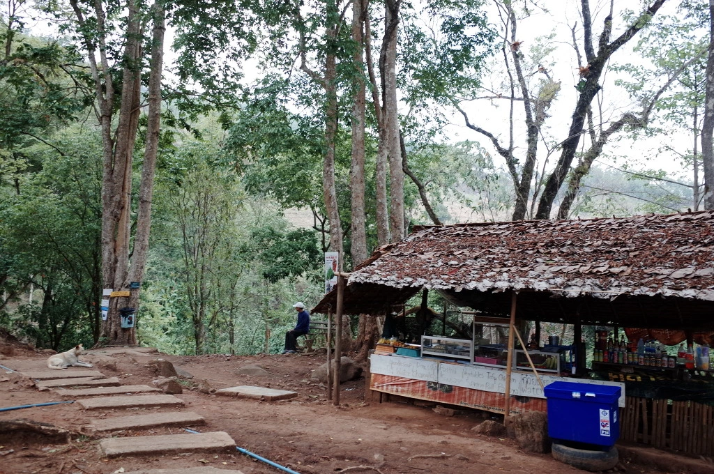 253CAF42553C5FD1155B14