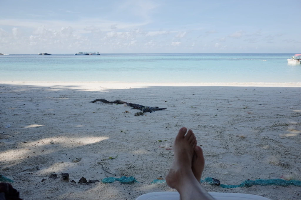 232E5939555EACA52D8CCF