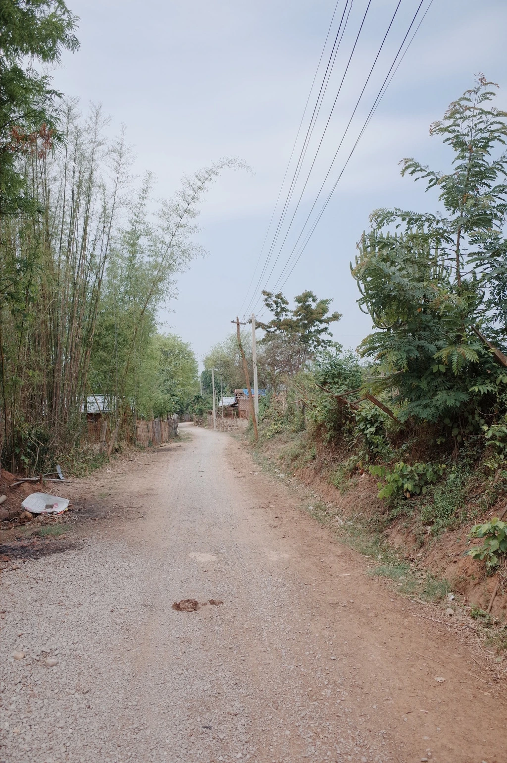 25309737556CF7042558CA