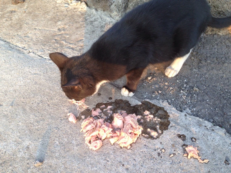 21582550530C35B026F1A6