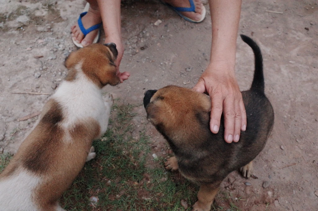 210B0340556C734104CCEF