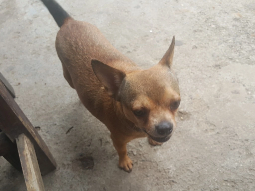 260BE939553C5EDC0404E4