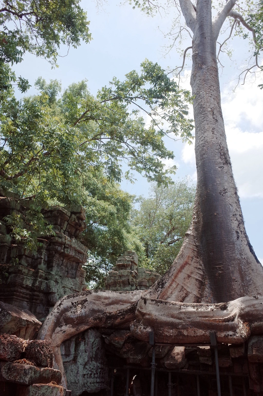 2620AE385554F1AB32C5C4