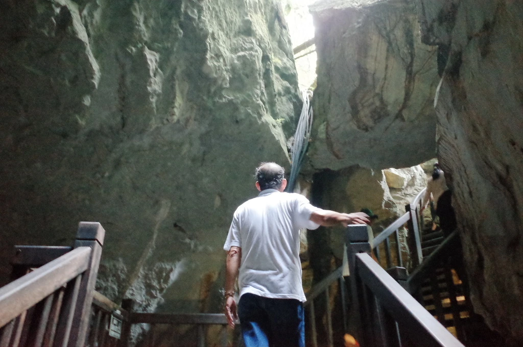 246BA546557ECCAF20990C