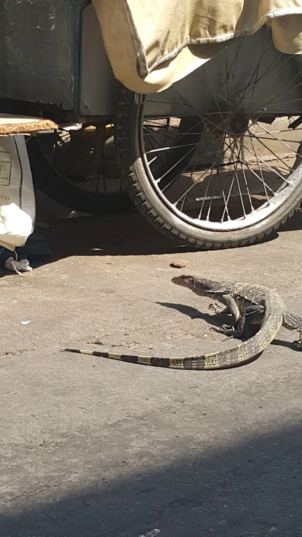 266D25355537B7CC2EFC39