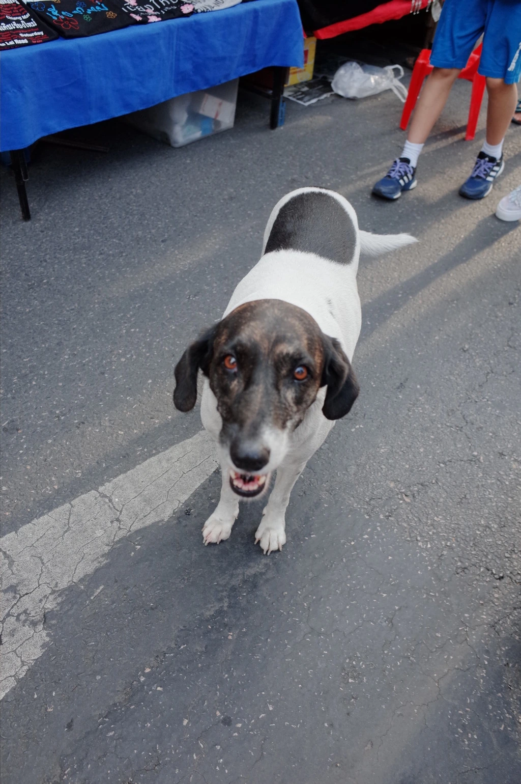 2419FF43553CF07D30A723