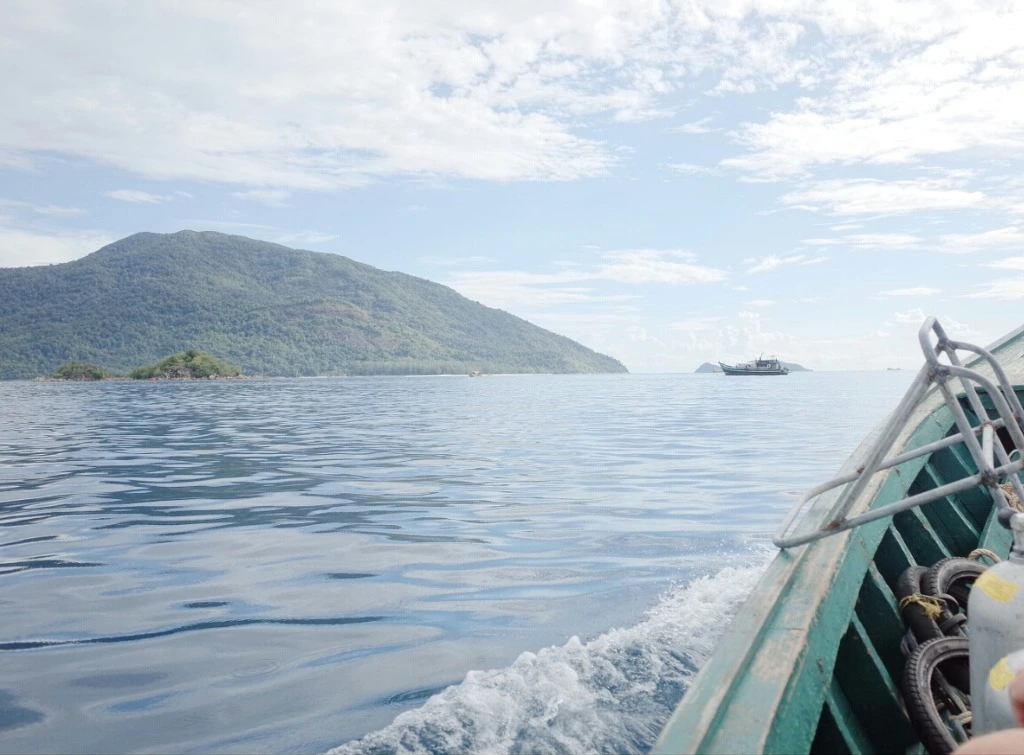 25717845555DFEBD0C99EA